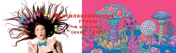 спиды Володарск